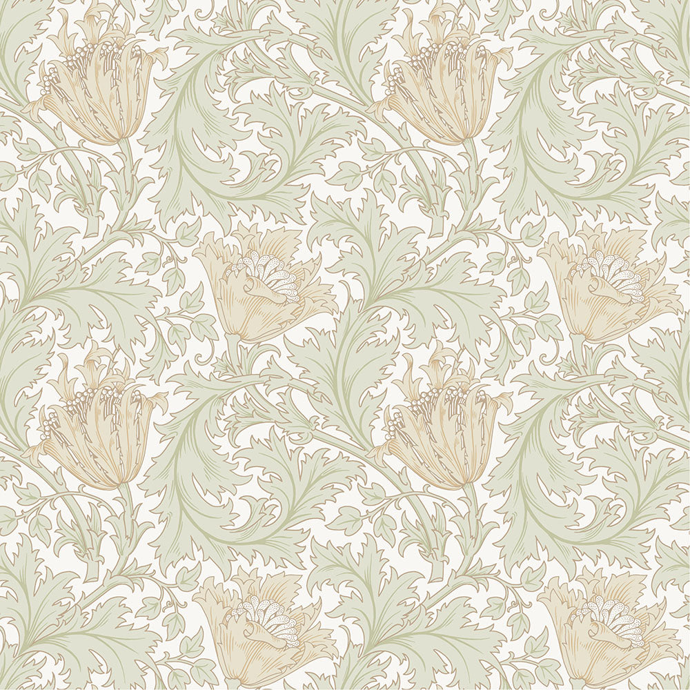 Midbec Anemone - W. Morris - 82002