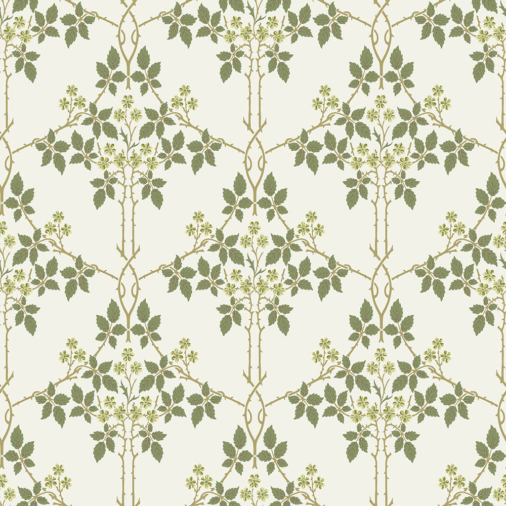 Midbec Blackberry - 82053