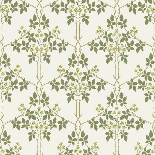 Midbec Blackberry - 82053