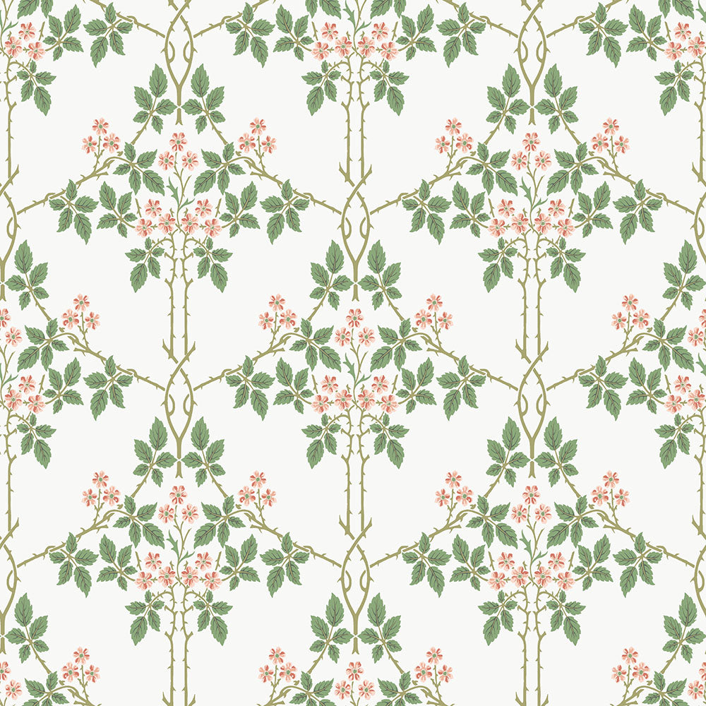 Midbec Blackberry - 82054