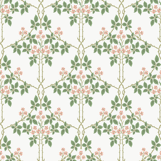 Midbec Blackberry - 82054