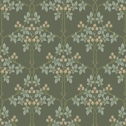 Midbec Blackberry - 82055