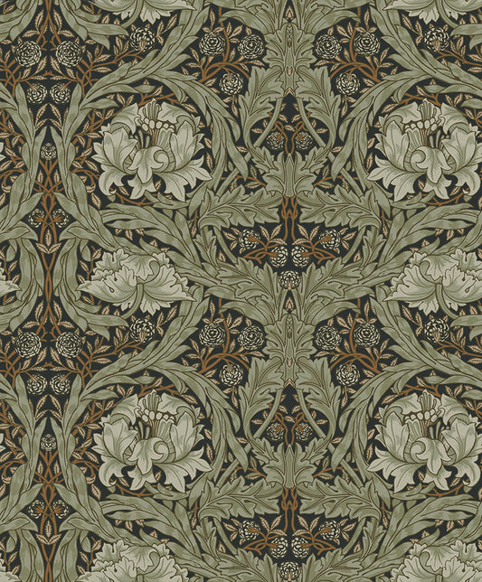 Midbec African Marigold - 82073