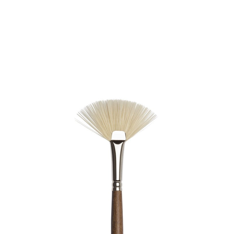 Winsor & Newton Professional Oil – Fan