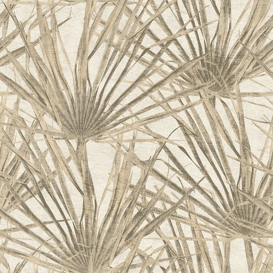 Midbec Herbarium Palm - HE27260