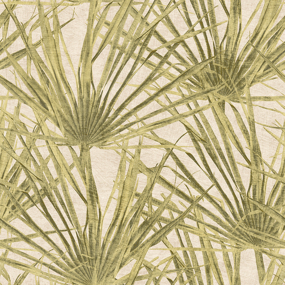 Midbec Herbarium Palm - HE27261