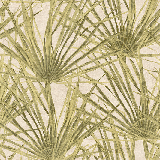 Midbec Herbarium Palm - HE27261