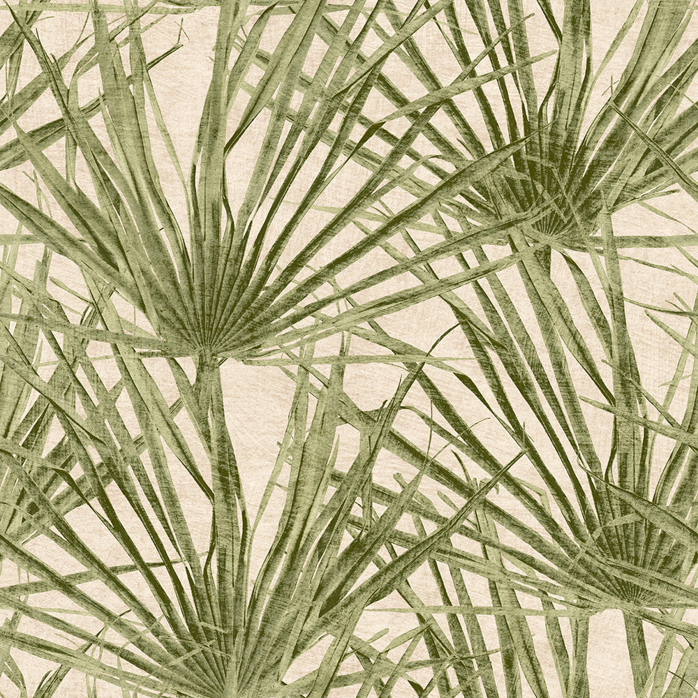 Midbec Herbarium Palm - HE27262