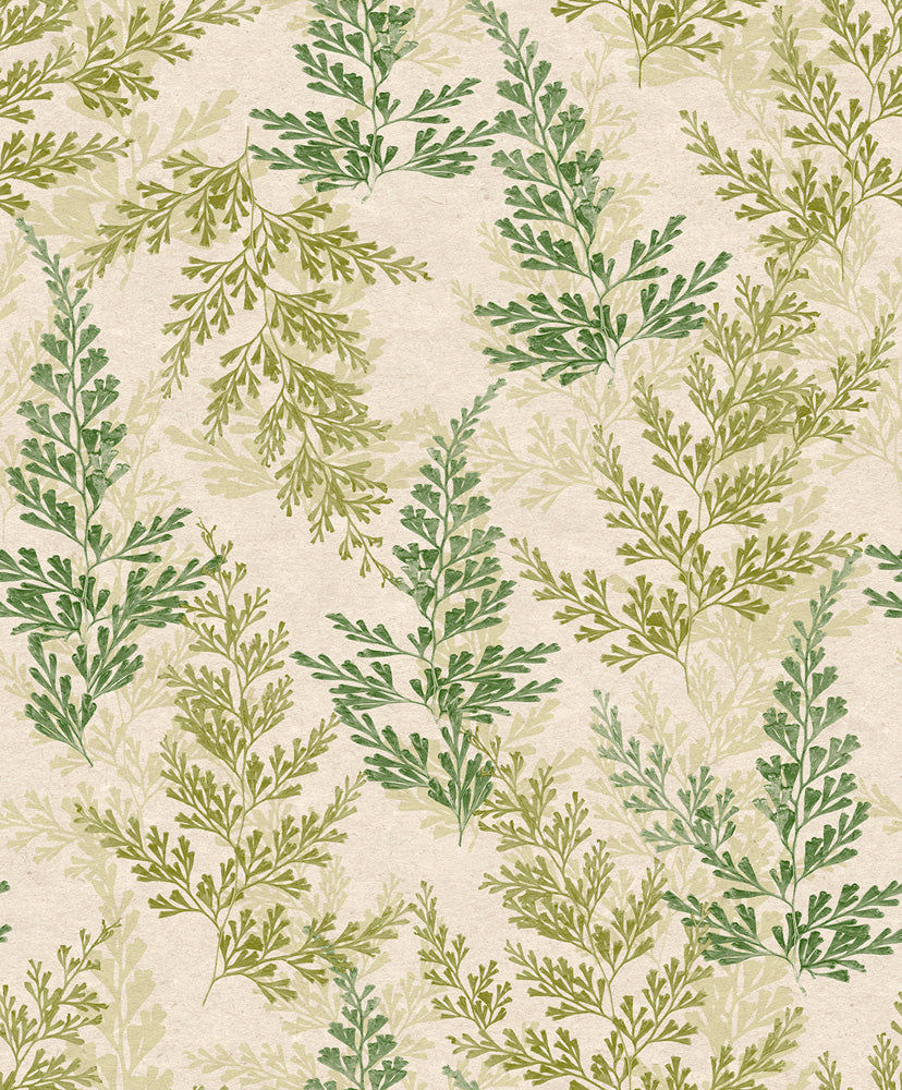 Midbec Wild Herbs - HE27282