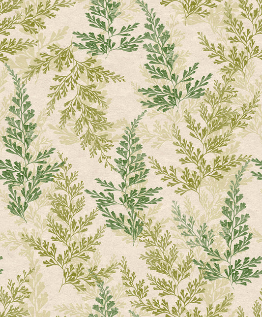Midbec Wild Herbs - HE27282