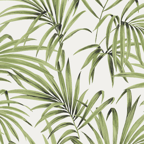 Midbec Palm Greenery - LOT103