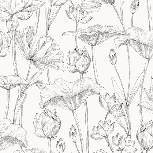 Midbec Lotus Black - LOT302