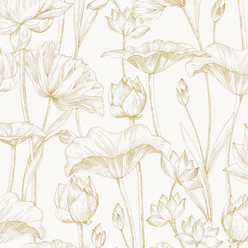 Midbec Lotus Black - LOT303