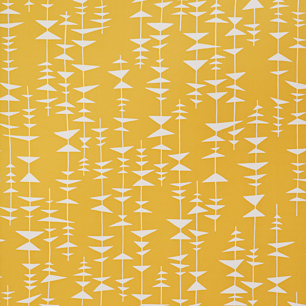 Midbec Ditto Sunshine - MISP1143