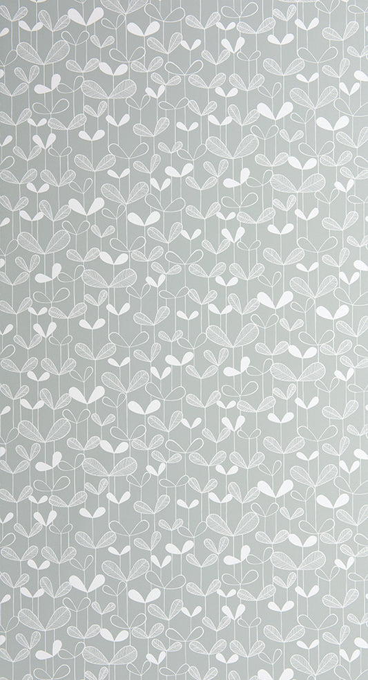 Midbec Saplings Silverleaf - MISP1260