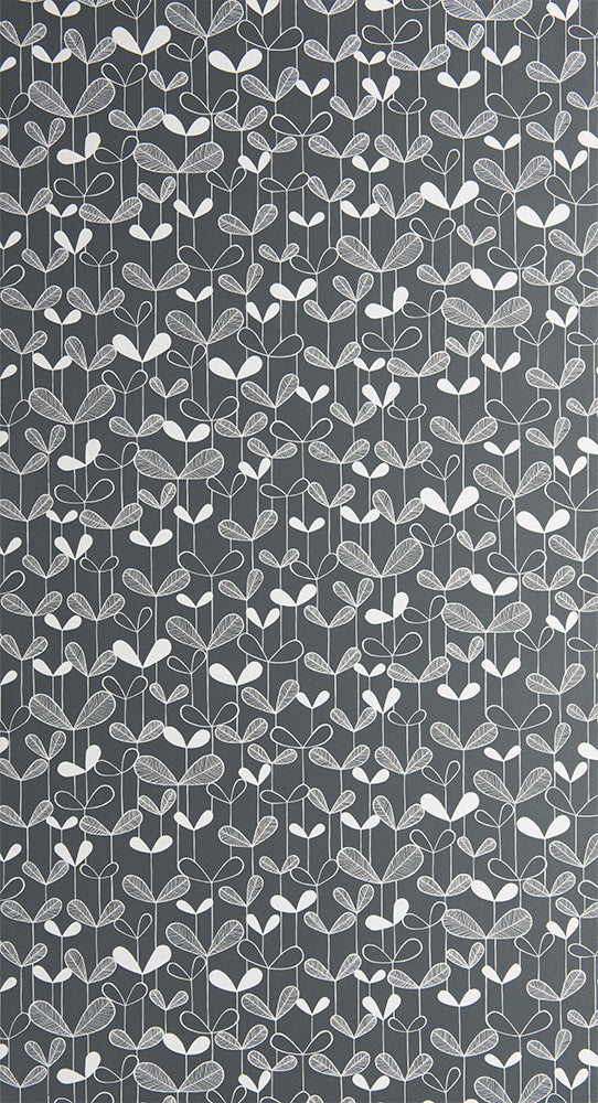 Midbec Saplings Graphite - MISP1261