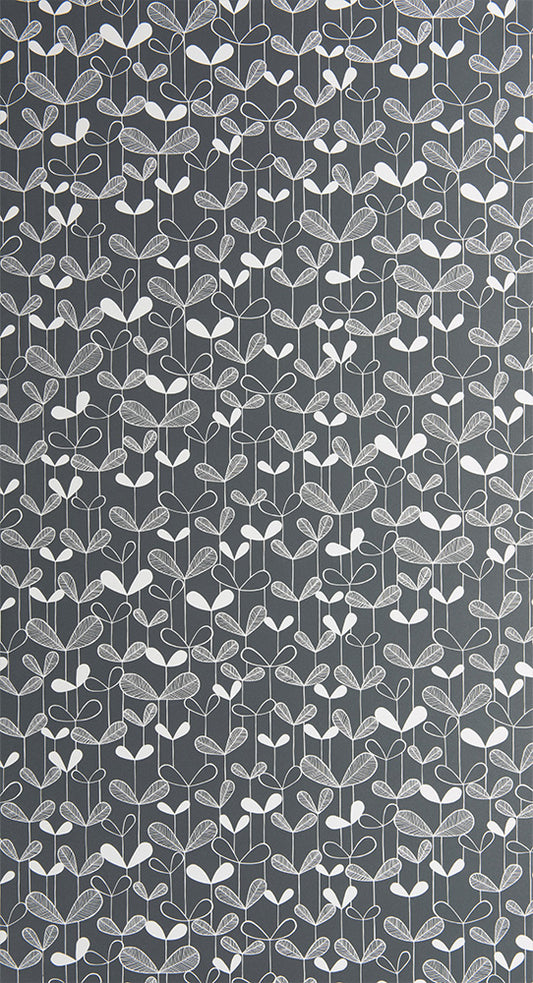 Midbec Saplings Graphite - MISP1261