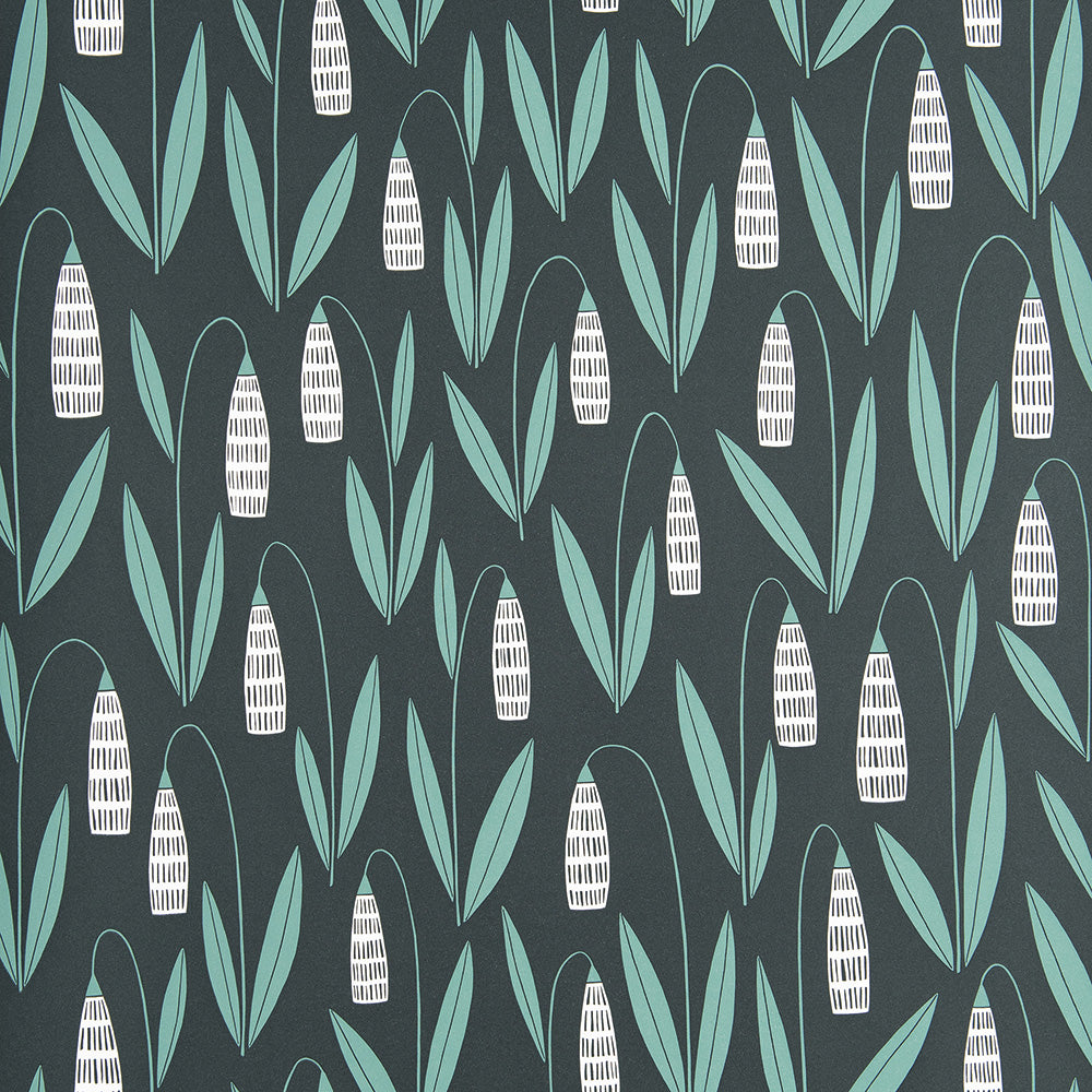 Midbec Snowdrops Night Flow - MISP1274