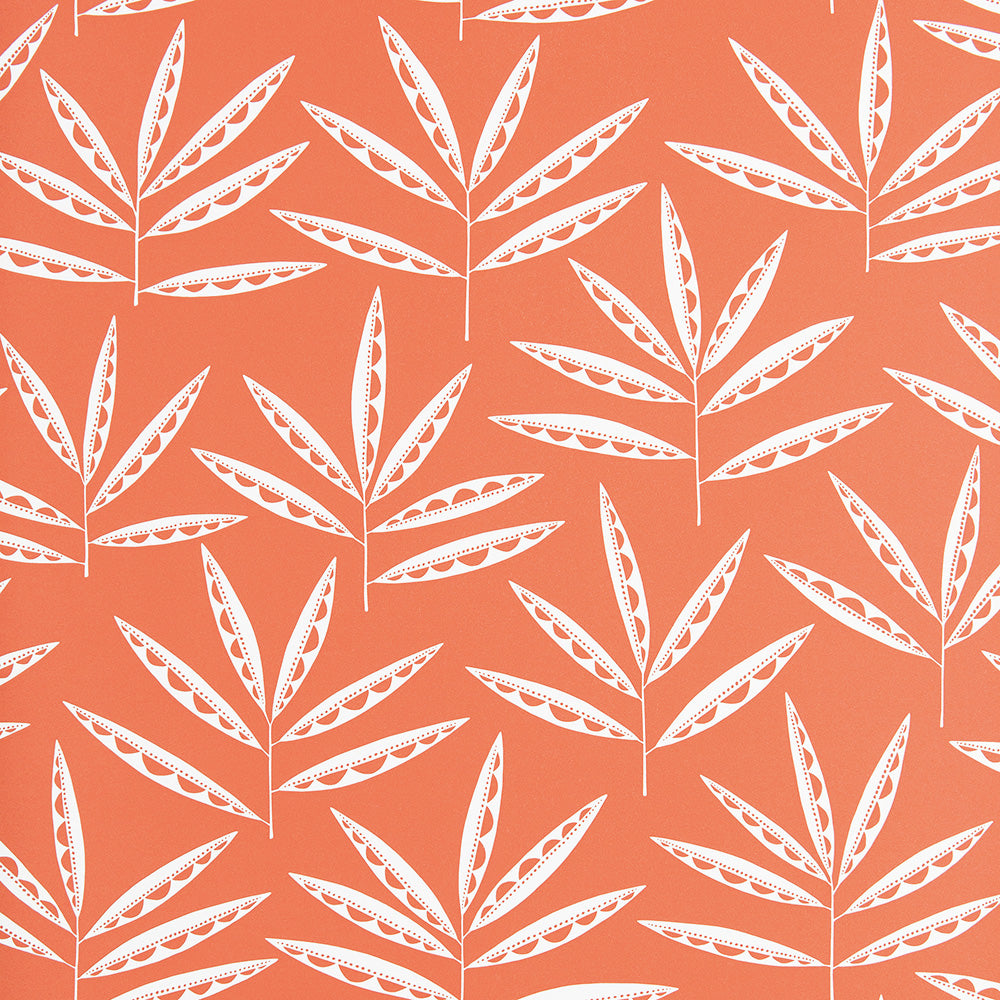 Midbec Pea Pods Terracotta - MISP1287