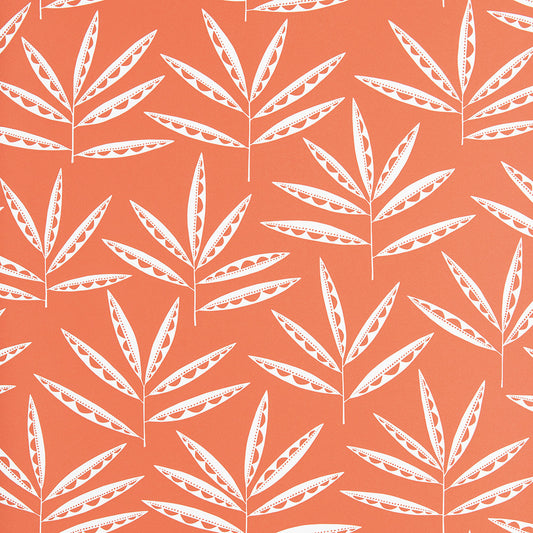 Midbec Pea Pods Terracotta - MISP1287