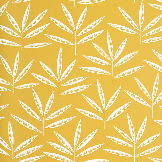 Midbec Pea Pods Kingcup - MISP1288