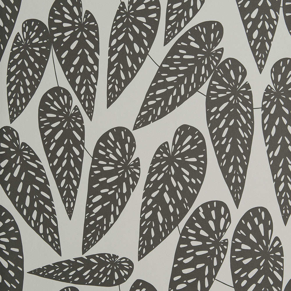 Midbec Tropics Nightfall - MISP1292