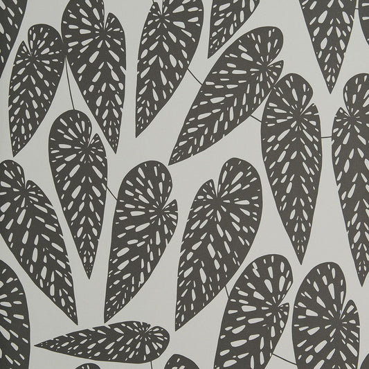 Midbec Tropics Nightfall - MISP1292