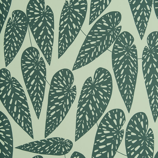 Midbec Tropics Jungle - MISP1293