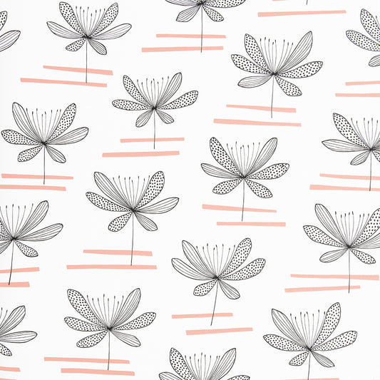 Midbec Water Lily Rosemallo - MISP1295