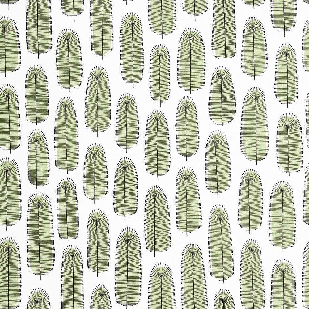 Midbec Bloom Blossom - MISP1304