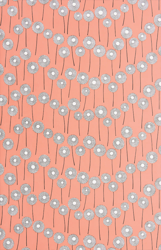 Midbec Meadow Honeysuckle - MISP1319