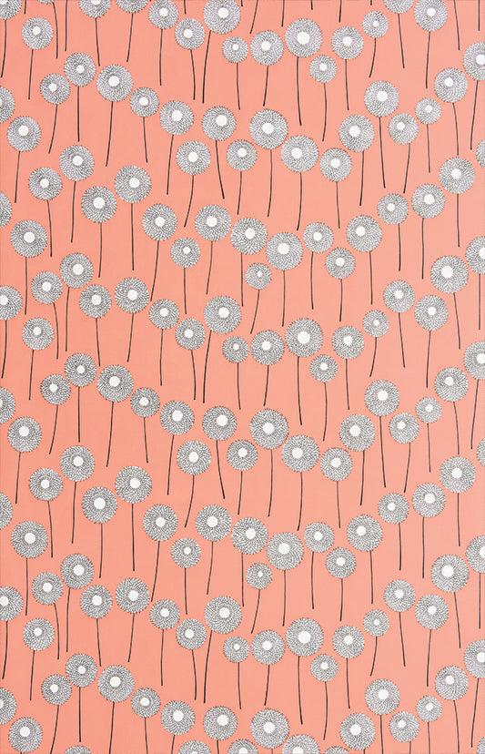 Midbec Meadow Honeysuckle - MISP1319