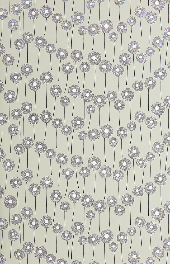 Midbec Meadow Snowberry - MISP1322