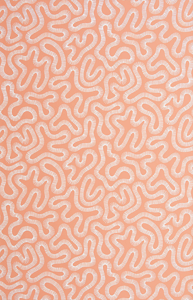 Midbec Coral Peach Blusch - MISP1340