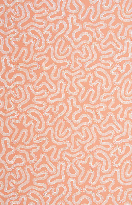 Midbec Coral Peach Blusch - MISP1340
