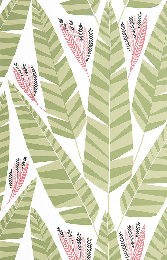 Midbec Jungle Palm - MISP1348