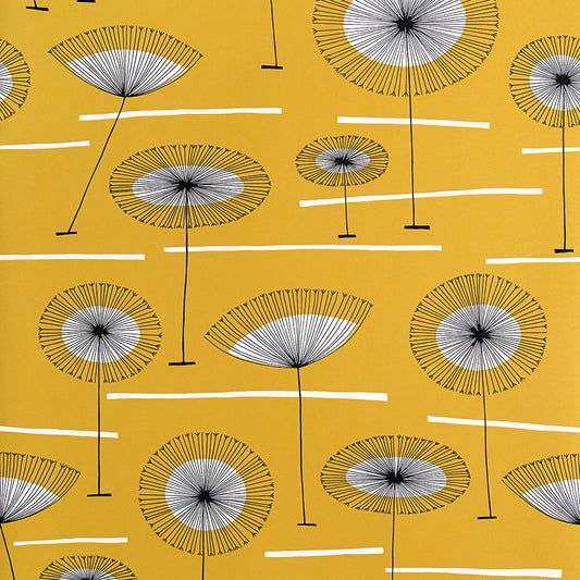 Midbec Grasslands Radiance - MISP1367