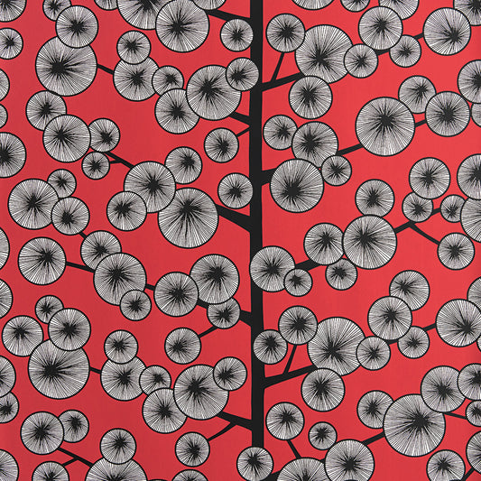 Midbec Cotton Tree Snapdrag - MISP1373