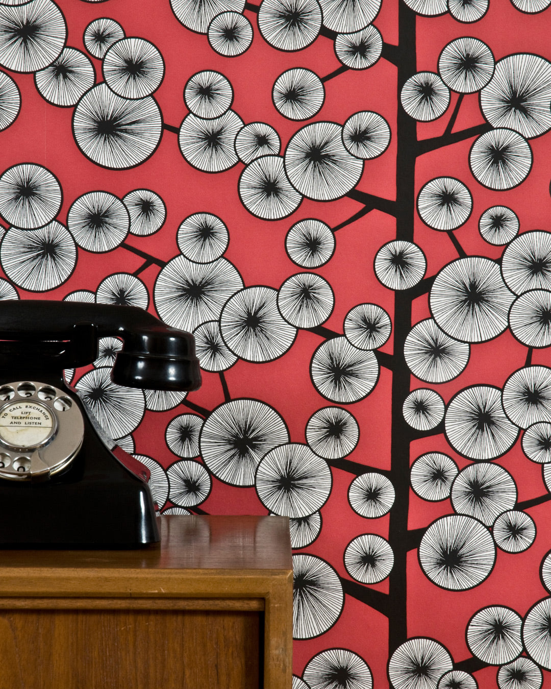 Midbec Cotton Tree Snapdrag - MISP1373