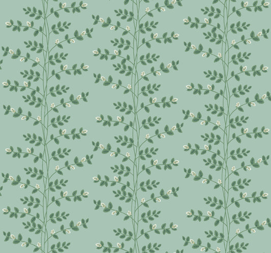 Midbec Climbing Vine - RF7421