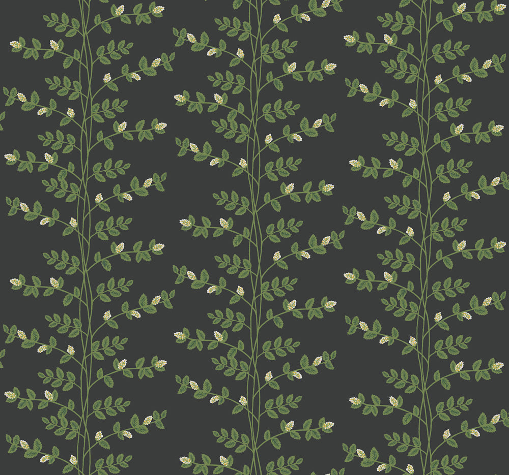 Midbec Climbing Vine - RF7422