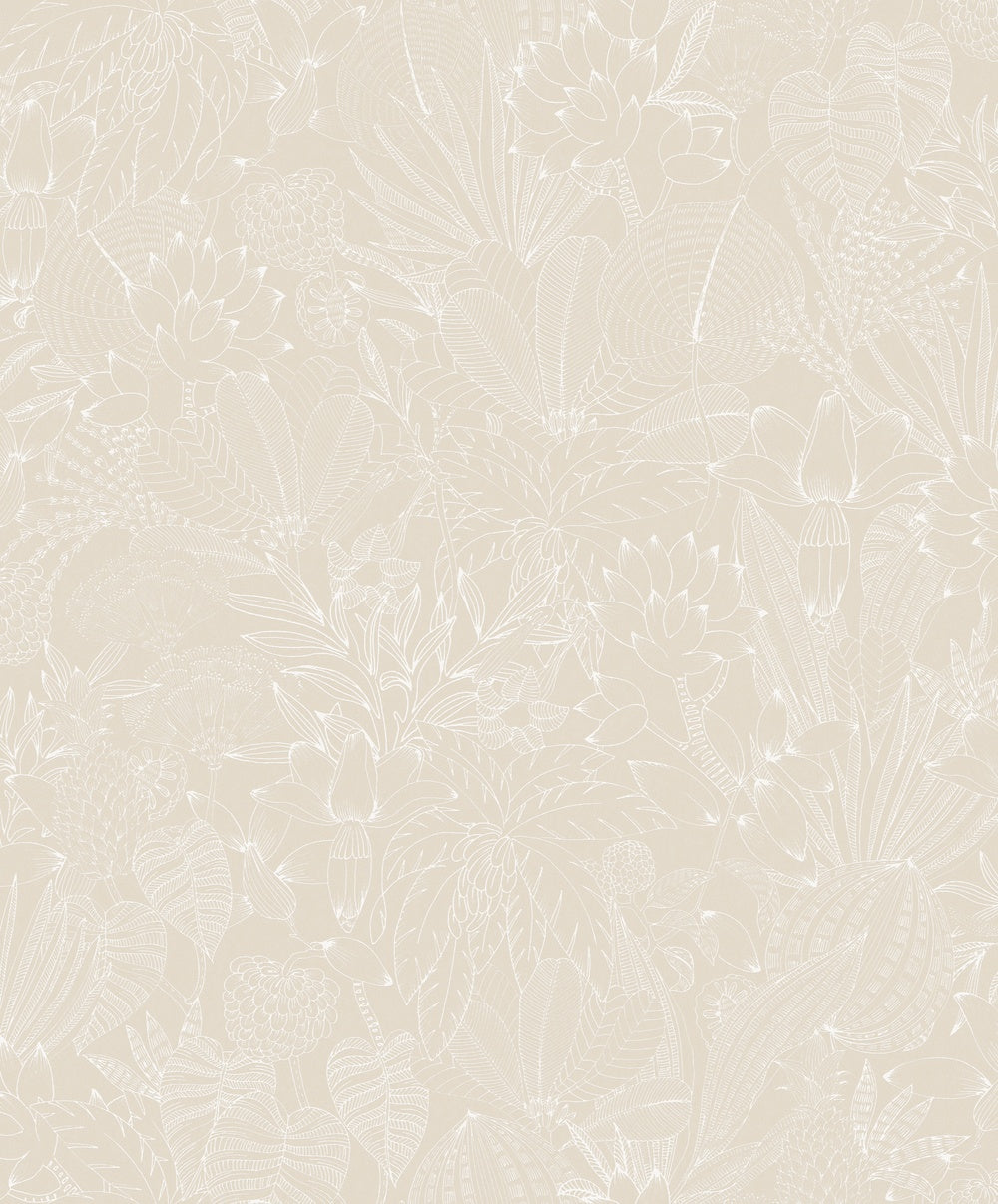 Midbec Bellis Angora - ROM101