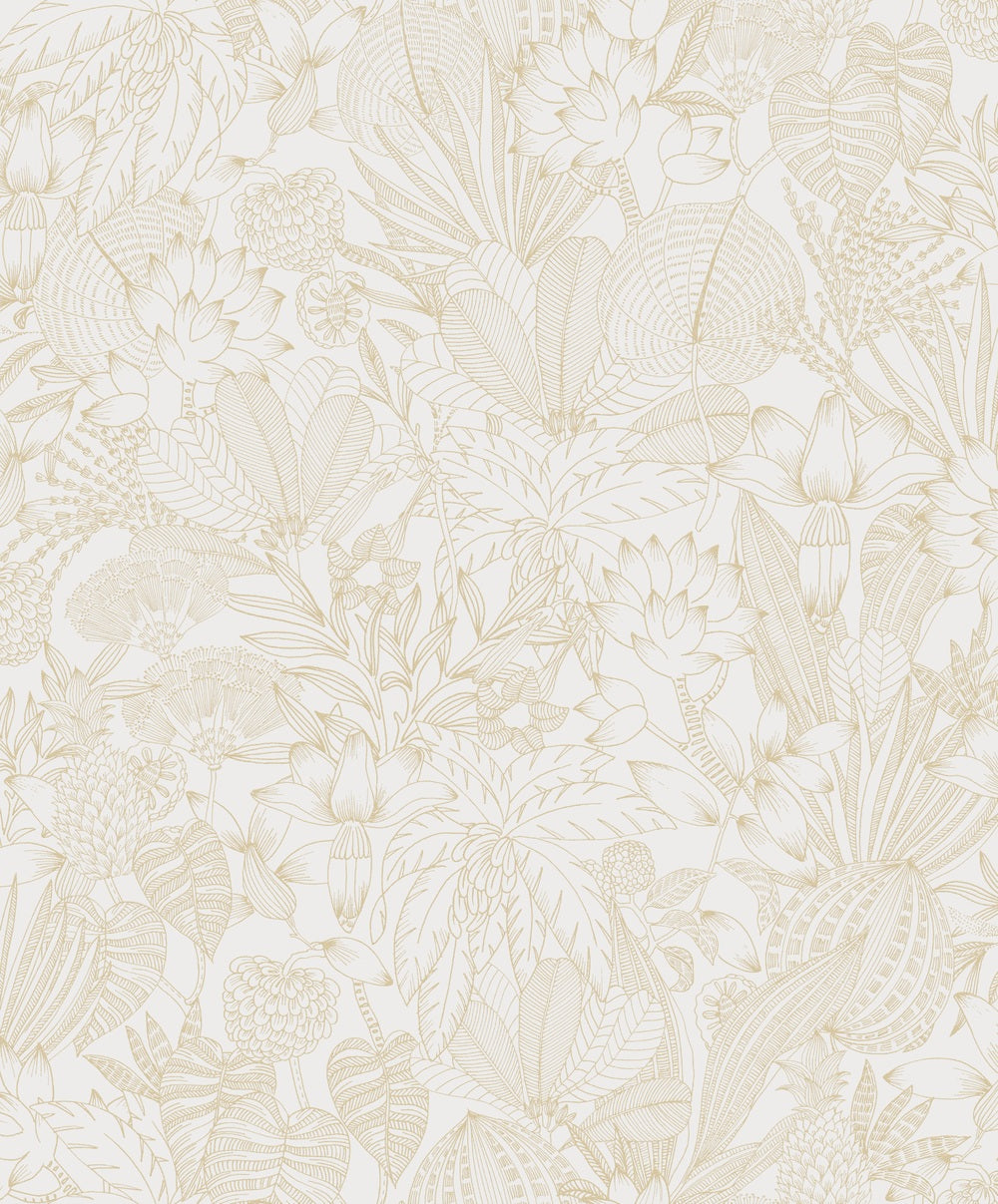 Midbec Bellis Gold - ROM102