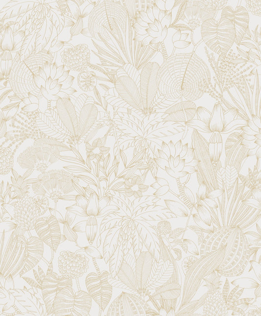 Midbec Bellis Gold - ROM102