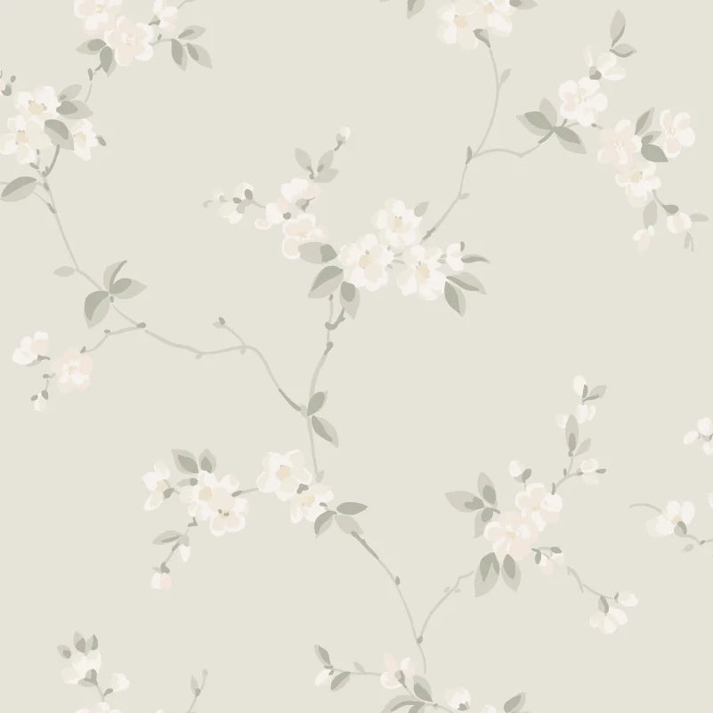Sandberg Engla, Sandstone - S10186