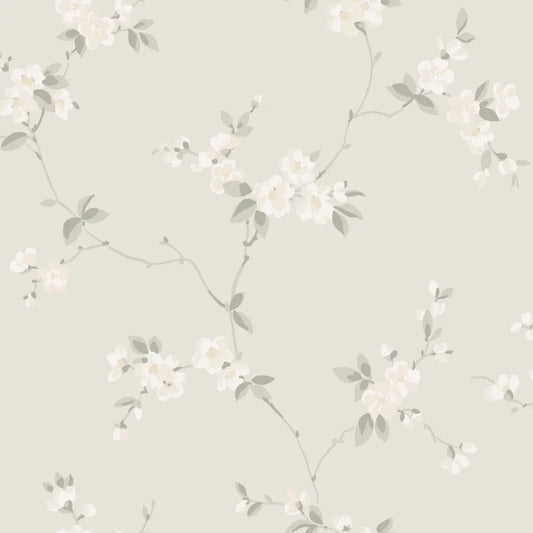 Sandberg Engla, Sandstone - S10186
