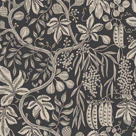 Sandberg Fig Garden, Charcoal - S10257