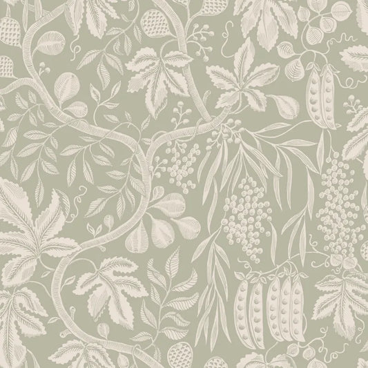 Sandberg Fig Garden, Garden Green - S10259