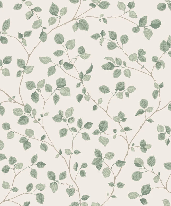Sandberg Bokskog, Garden Green - S10322