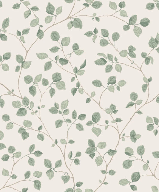 Sandberg Bokskog, Garden Green - S10322